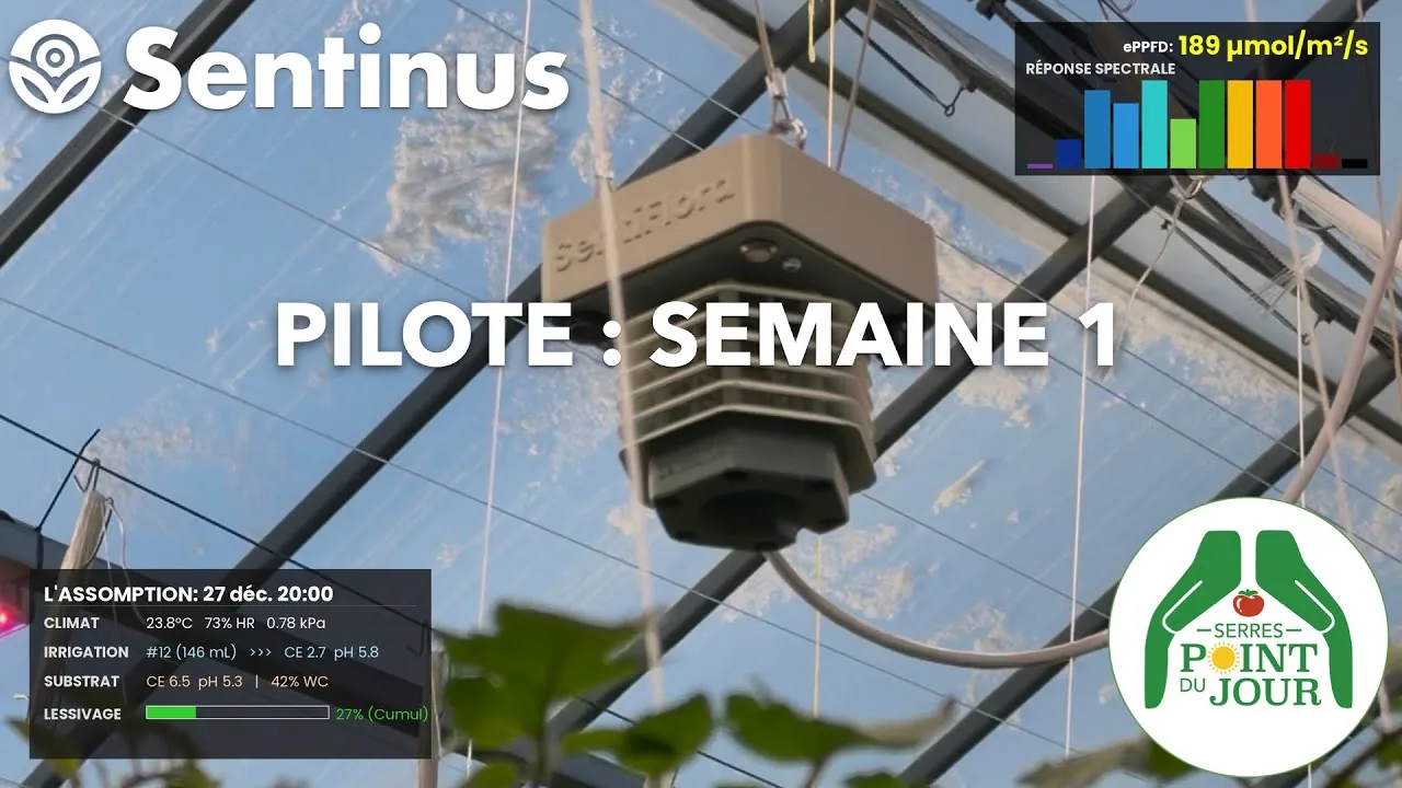 Présentation de Sentinus dans une serre commerciale au Québec